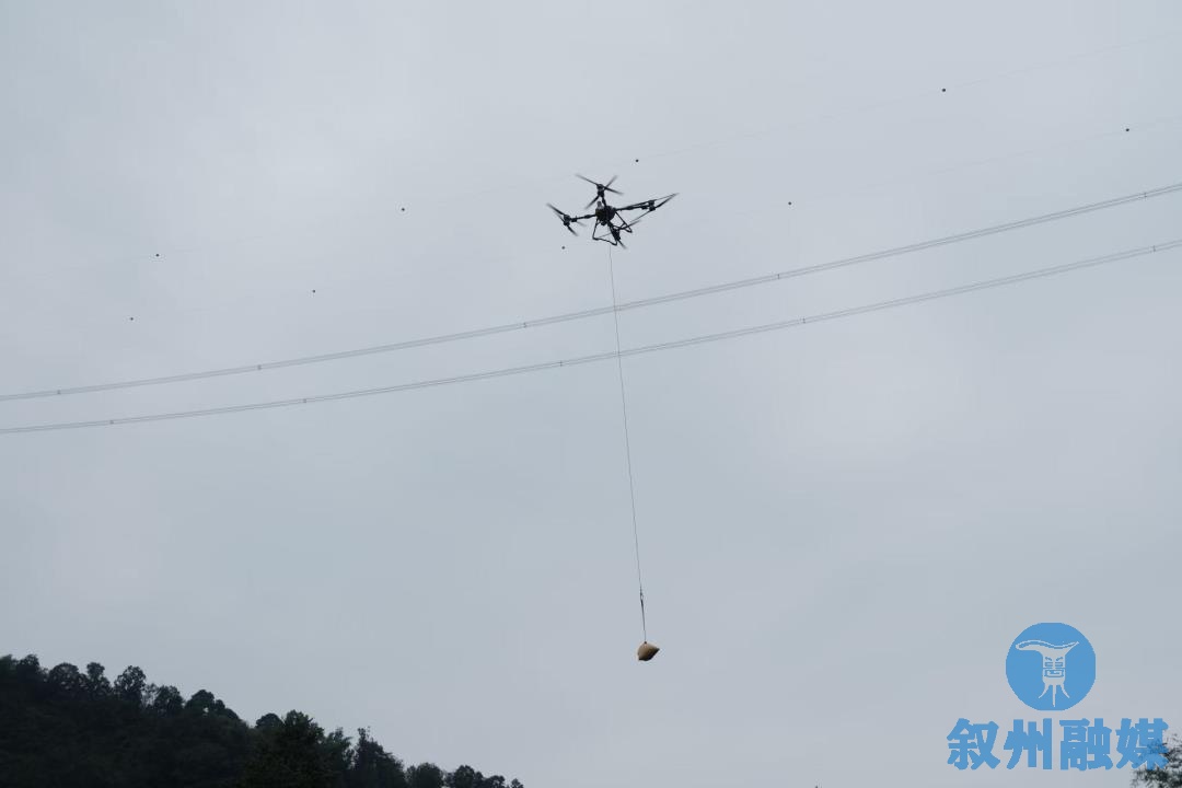241756971174_.pic.jpg